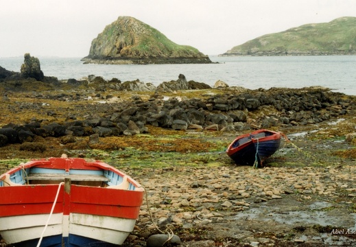 Skye (1570 visites) Skye