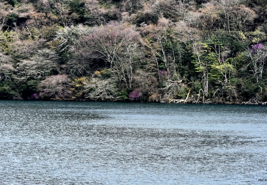 Lac Ashi