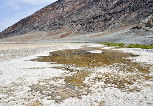 Bad Water Basin