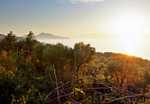 Sorrento