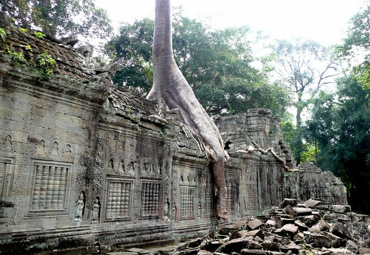 Angkor