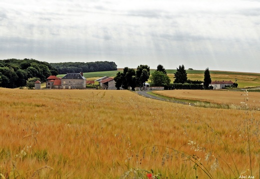 Hurtebise